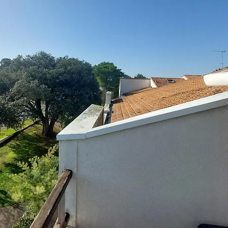 Pet Friendly Appartement