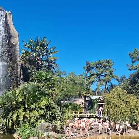 Pet Friendly * Saint-Georges-de-Didonne