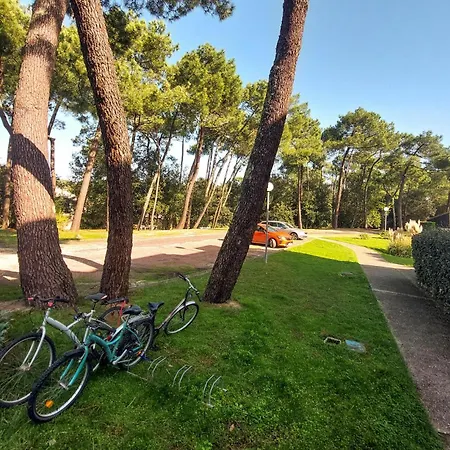 Beautiful Apartment In Saint-Georges-De-Didon
