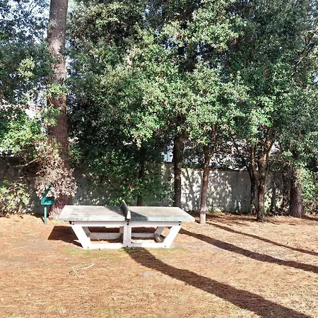 Appartement Pet Friendly *