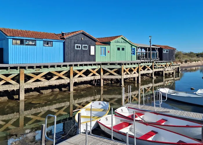 Lejlighed Pet Friendly *