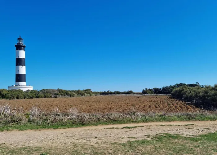 Lejlighed Pet Friendly Saint-Georges-de-Didonne