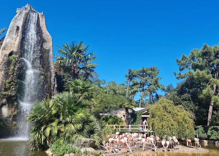 Pet Friendly * Saint-Georges-de-Didonne