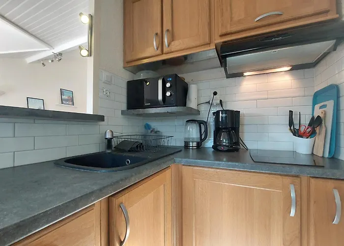 Lejlighed Pet Friendly Saint-Georges-de-Didonne