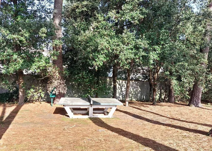 Lejlighed Pet Friendly *